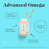 Advanced Omega